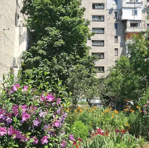 ждем вас! приезжайте Daire