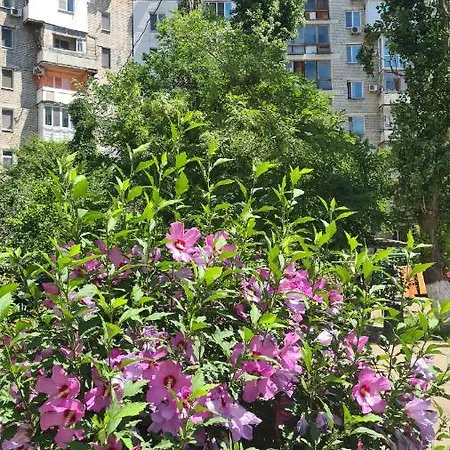 ждем вас! приезжайте Apartment *